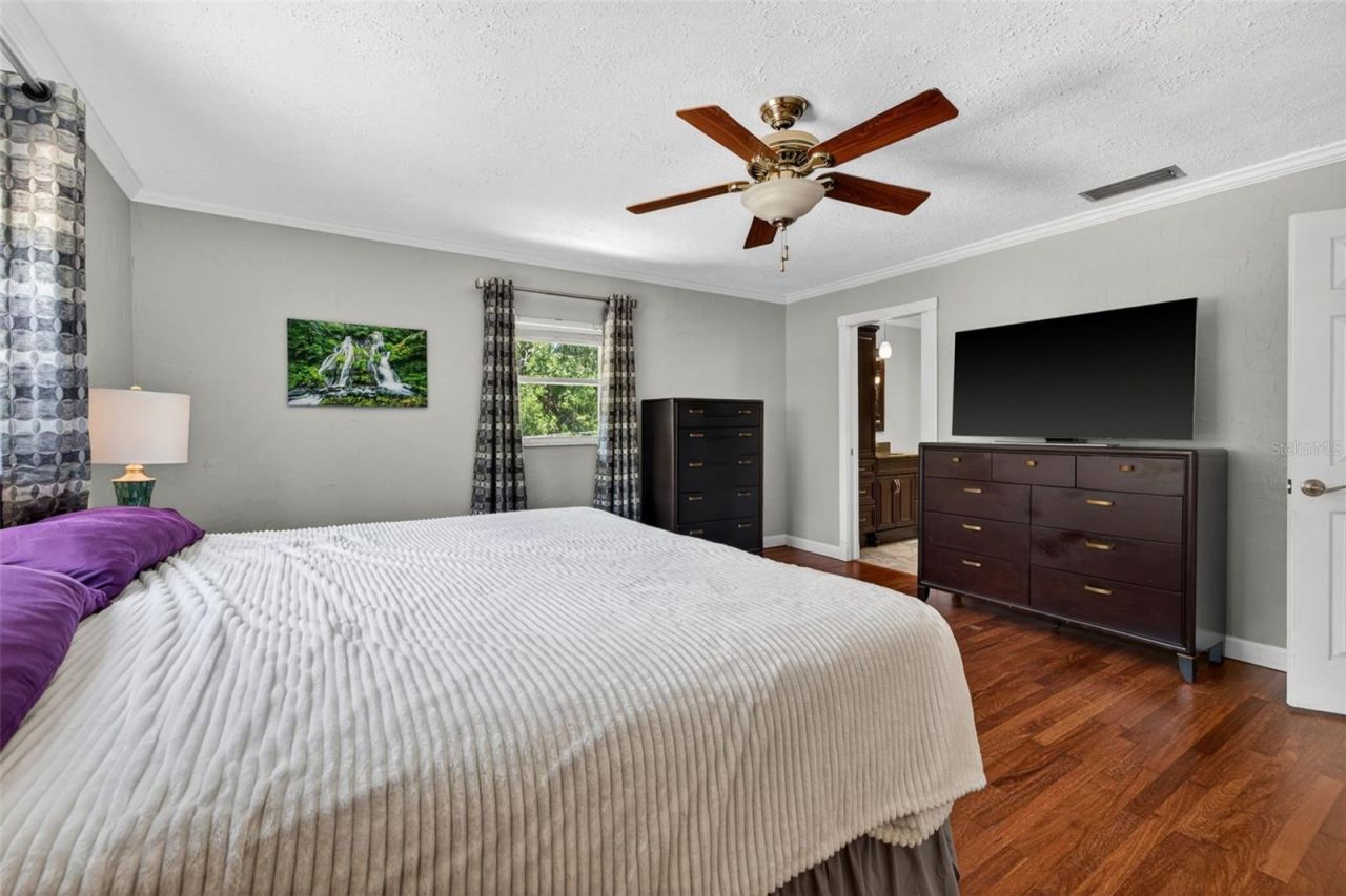 1007 State Street E, Oldsmar, FL 34677 Photo