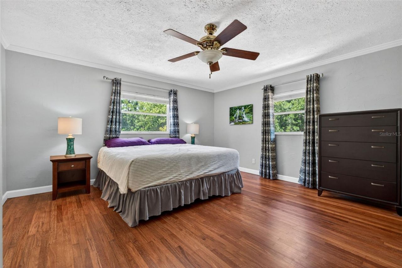 1007 State Street E, Oldsmar, FL 34677 Photo