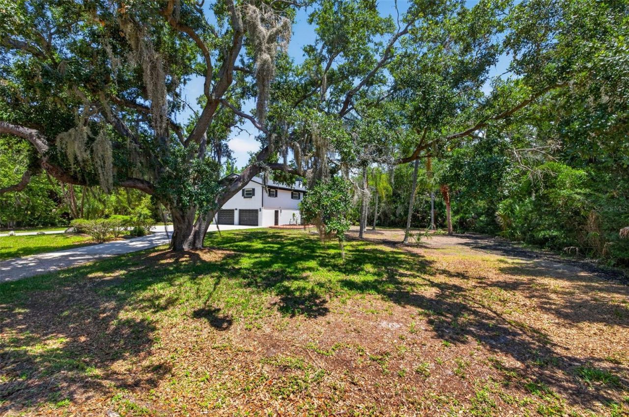 1007 State Street E, Oldsmar, FL 34677 Photo
