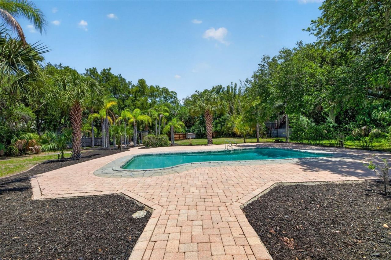 1007 State Street E, Oldsmar, FL 34677 Photo