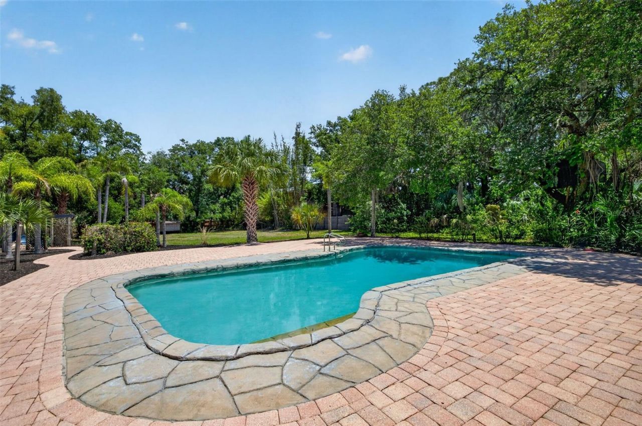 1007 State Street E, Oldsmar, FL 34677 Photo