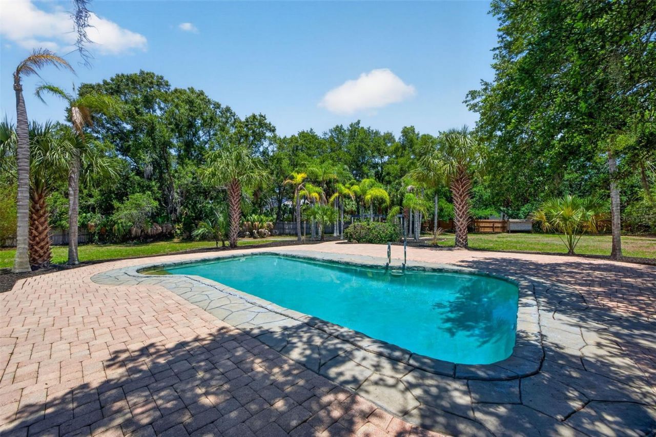 1007 State Street E, Oldsmar, FL 34677 Photo
