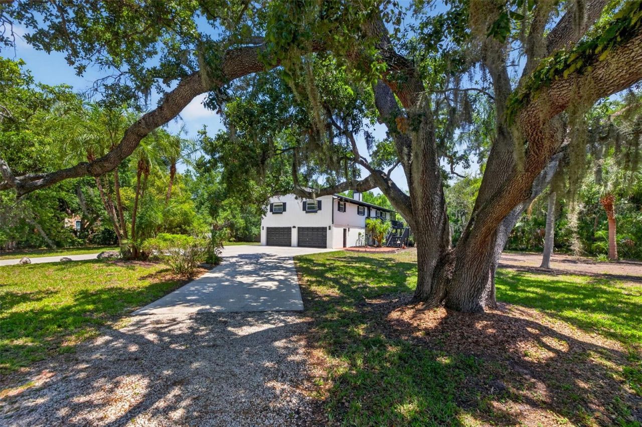 1007 State Street E, Oldsmar, FL 34677 Photo
