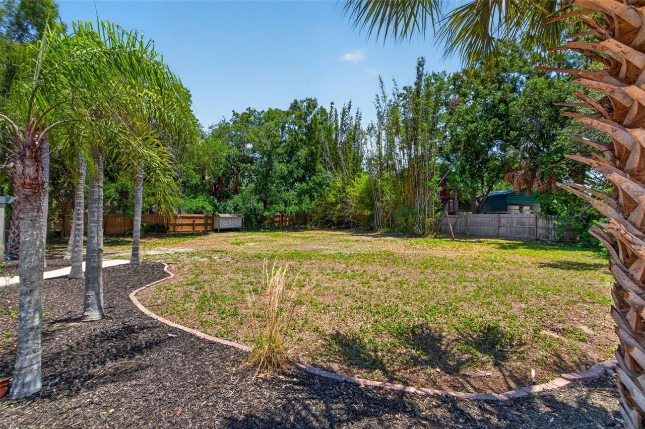 1007 State Street E, Oldsmar, FL 34677 Photo