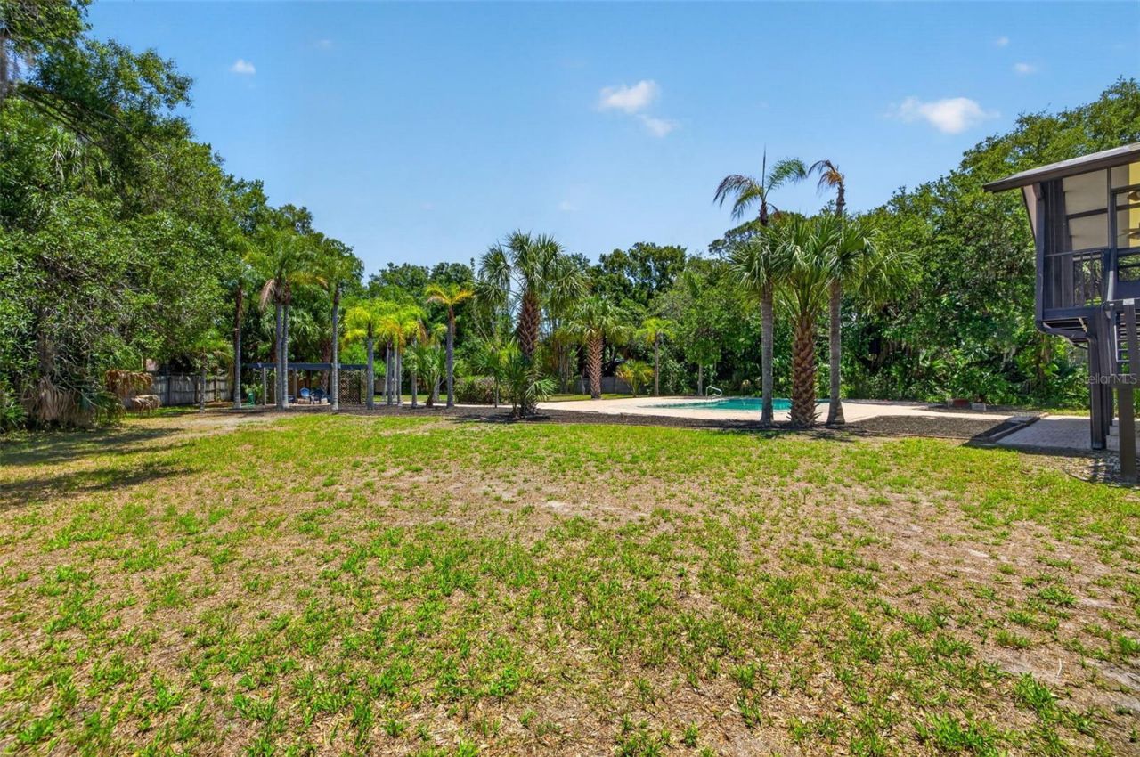 1007 State Street E, Oldsmar, FL 34677 Photo