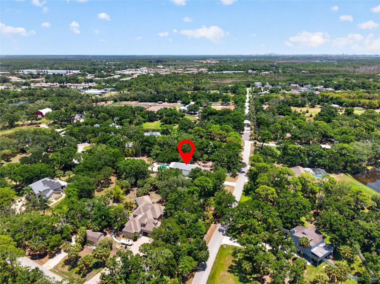 1007 State Street E, Oldsmar, FL 34677 Photo