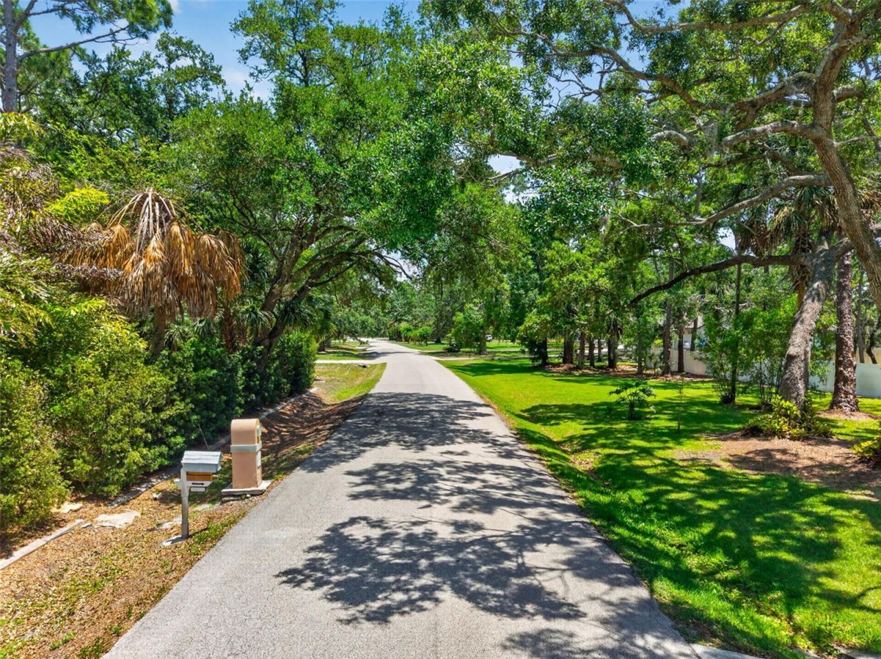 1007 State Street E, Oldsmar, FL 34677 Photo