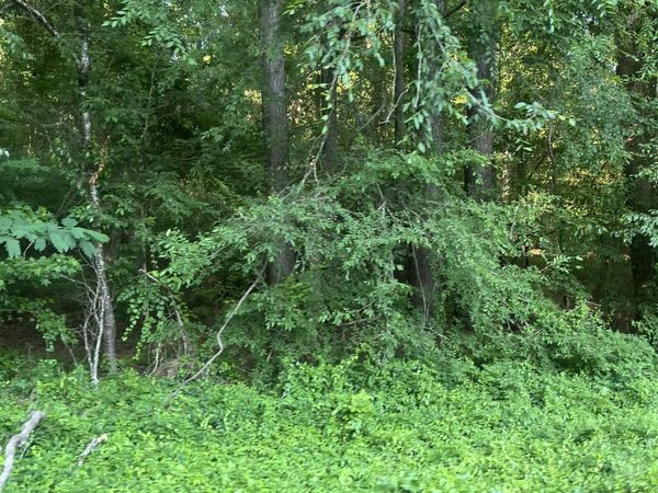 Lot 41 Tanglewood II , Monticello, AR 71655