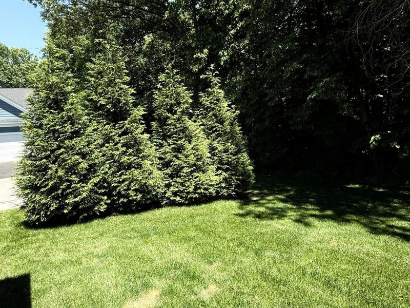 12244 Splashtail Court, Unit Lot 160, Pickerington, OH 43147 Photo 35