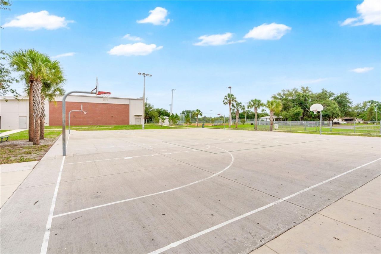 11511 Southern Creek Drive, Gibsonton, FL 33534 Photo