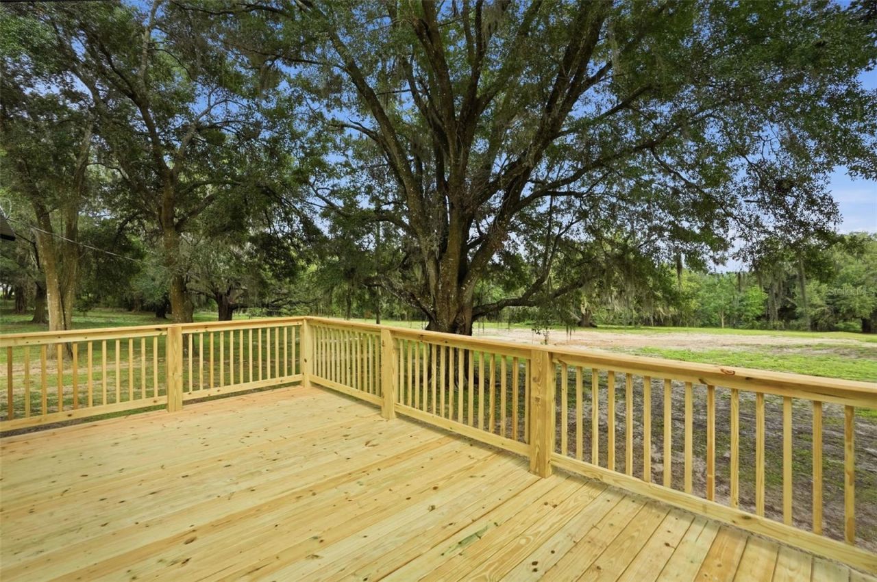 28470 Soaring Hawk Lane, Brooksville, FL 34602 Photo