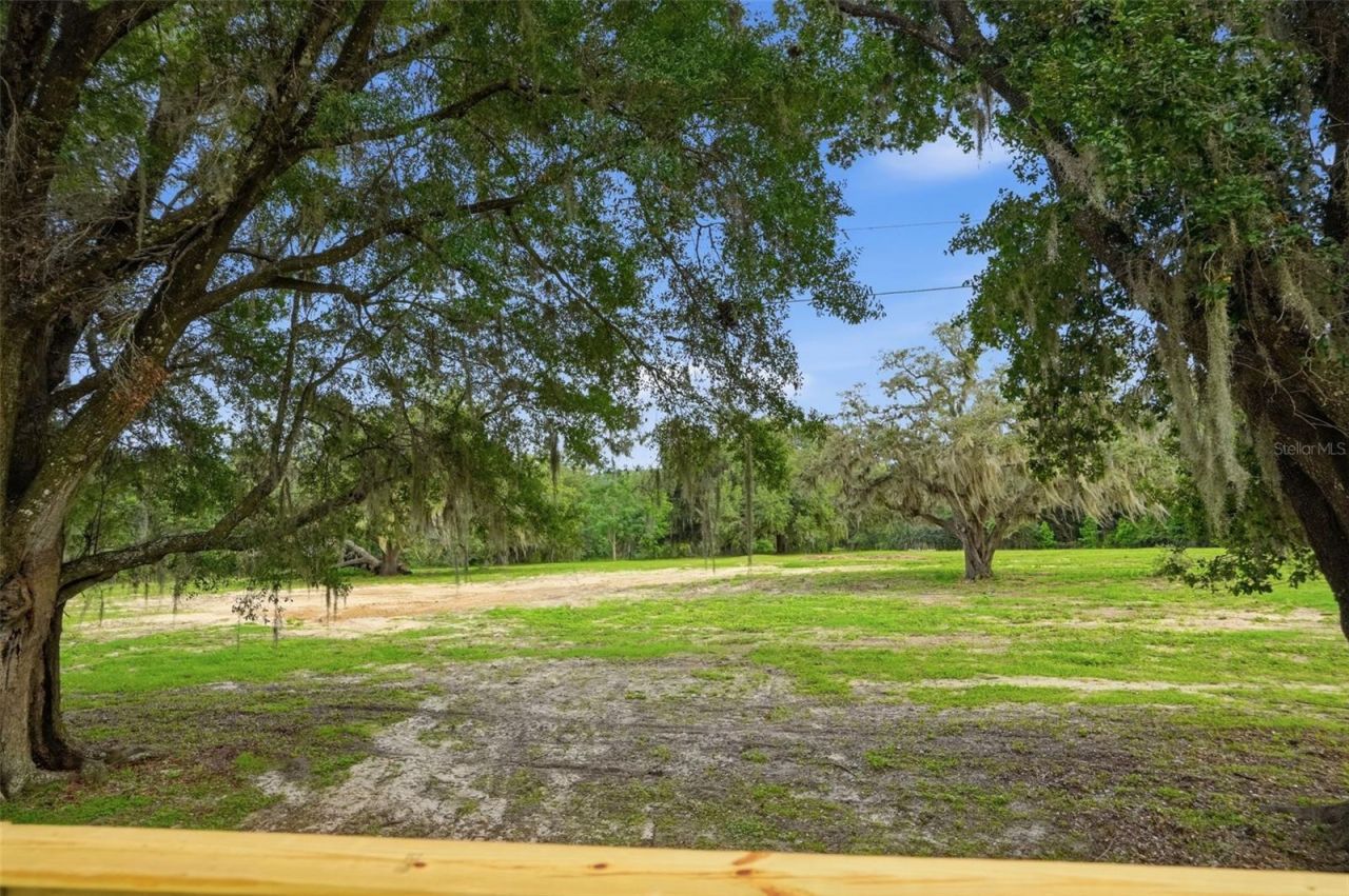 28470 Soaring Hawk Lane, Brooksville, FL 34602 Photo