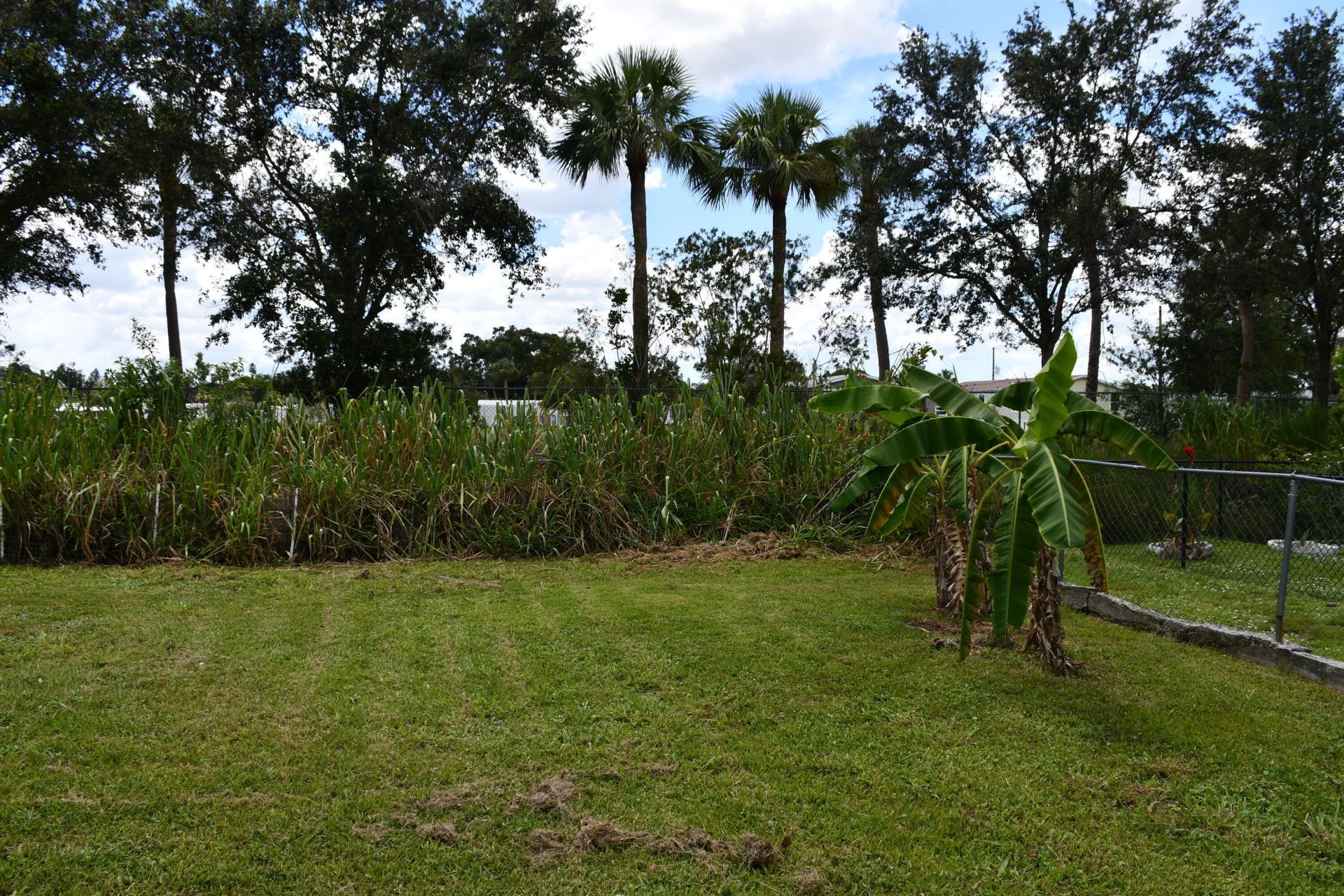 1591 Sunkist Way, Fort Myers, FL 33905 Photo