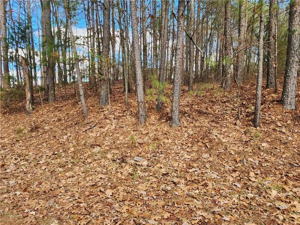 91 Cannon Ridge View , Dallas, GA 30132