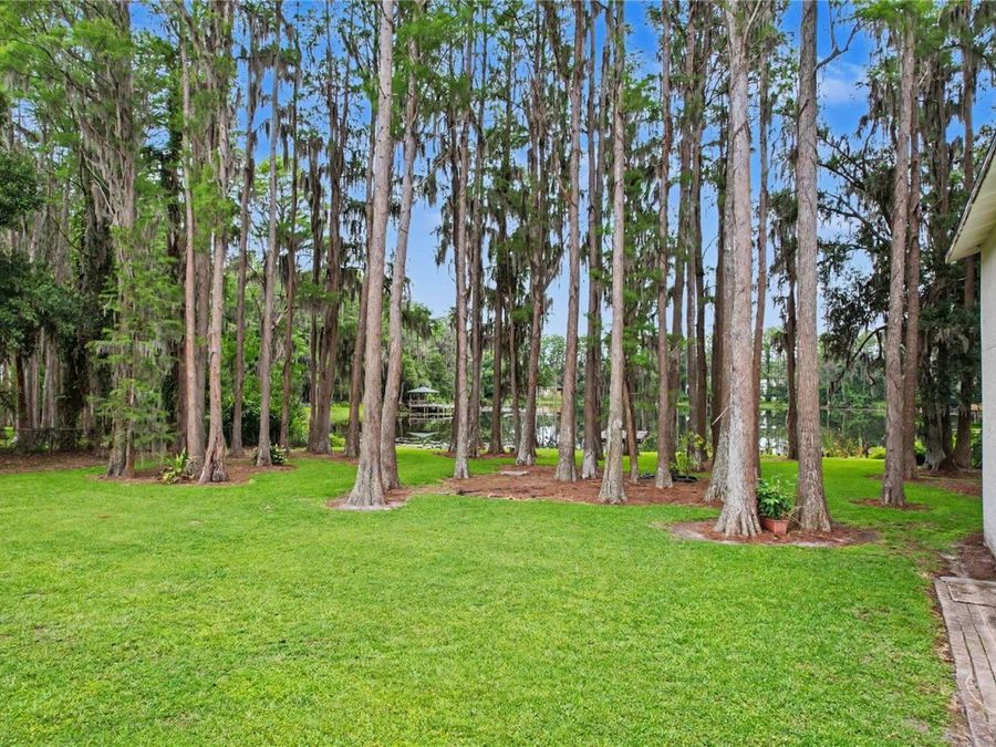 Property Image 75