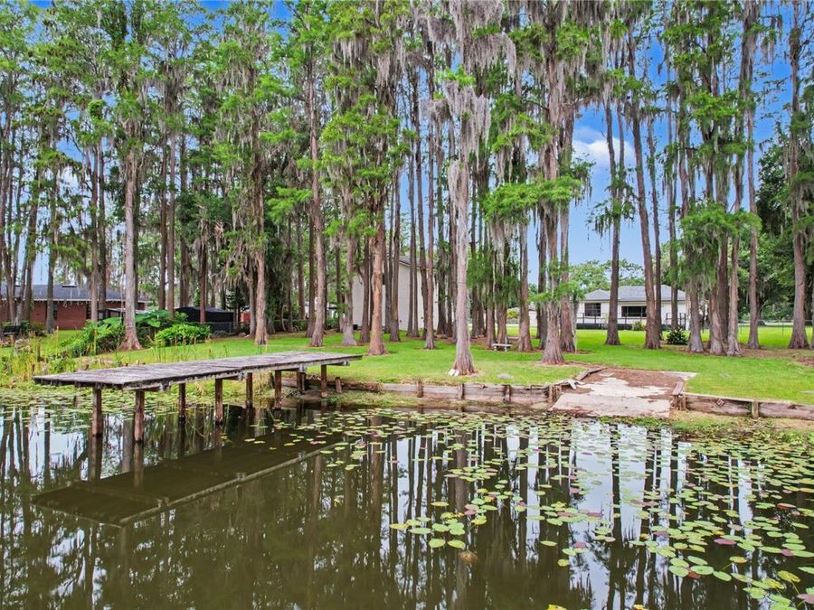 Property Image 81