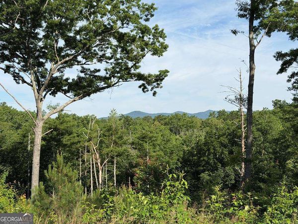 LT 304 Greenwood Court, Unit 304, Ellijay, GA 30540