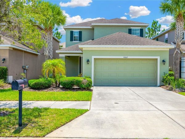 16065 BELLA WOODS DRIVE , TAMPA, FL 33647