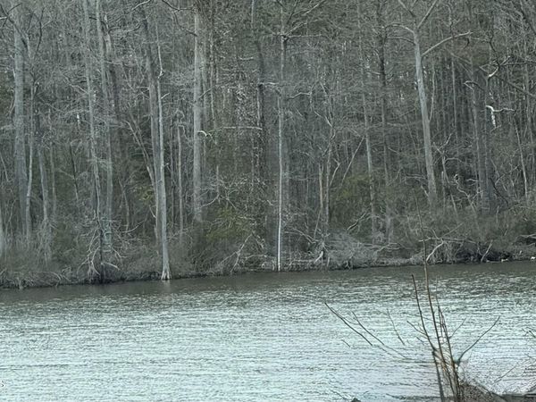 269 Creek Road , Bath, NC 27808