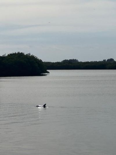 Lot 12 Riverview Court, Vero Beach, FL 32963 Photo