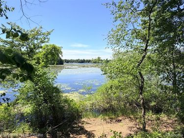 Vacant McKeachie Road, White Lake Twp, MI 48383