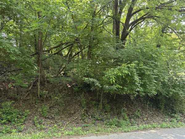 0 Chestnut ST , Vinton, VA 24179