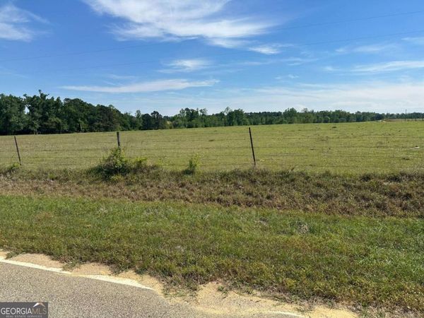 2905 Donald Cobb Road, Bartow, GA 30413