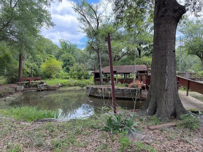 17870 Lil Dixie Drive, Sanderson, FL 32087 Photo