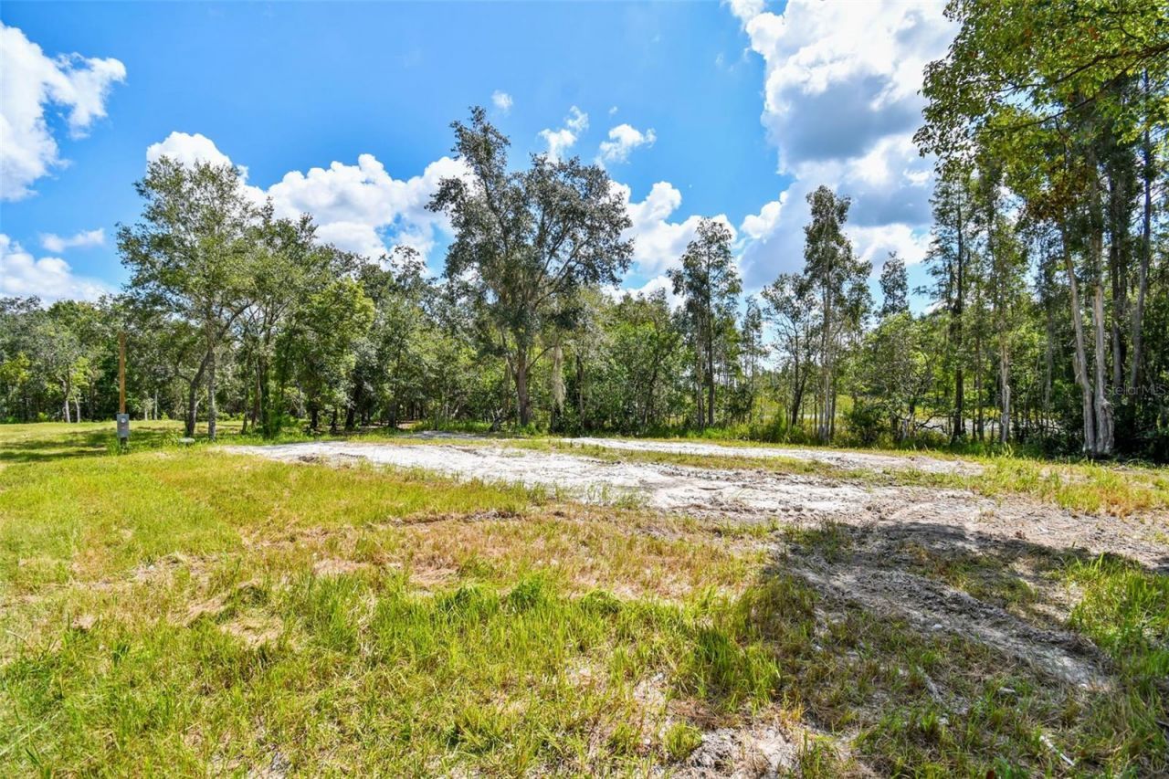 1758 Land O Lakes Boulevard , Lutz, FL 33549 Photo