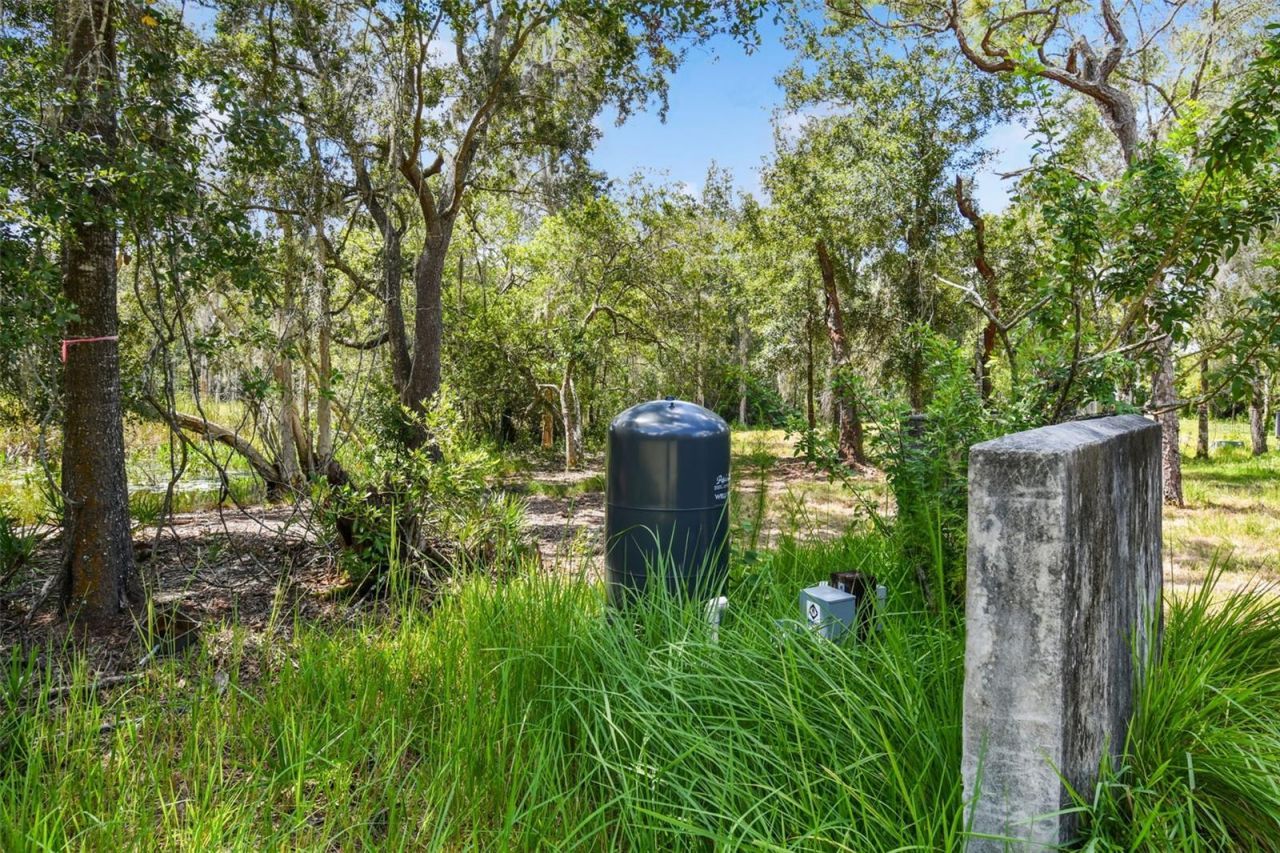 1758 Land O Lakes Boulevard , Lutz, FL 33549 Photo