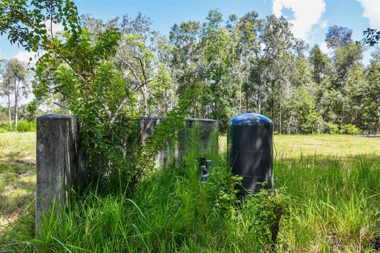1758 Land O Lakes Boulevard , Lutz, FL 33549 Photo