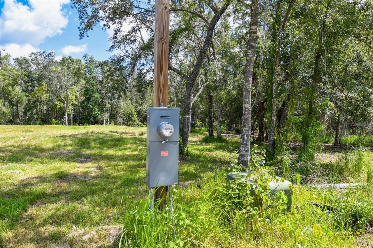 1758 Land O Lakes Boulevard , Lutz, FL 33549 Photo