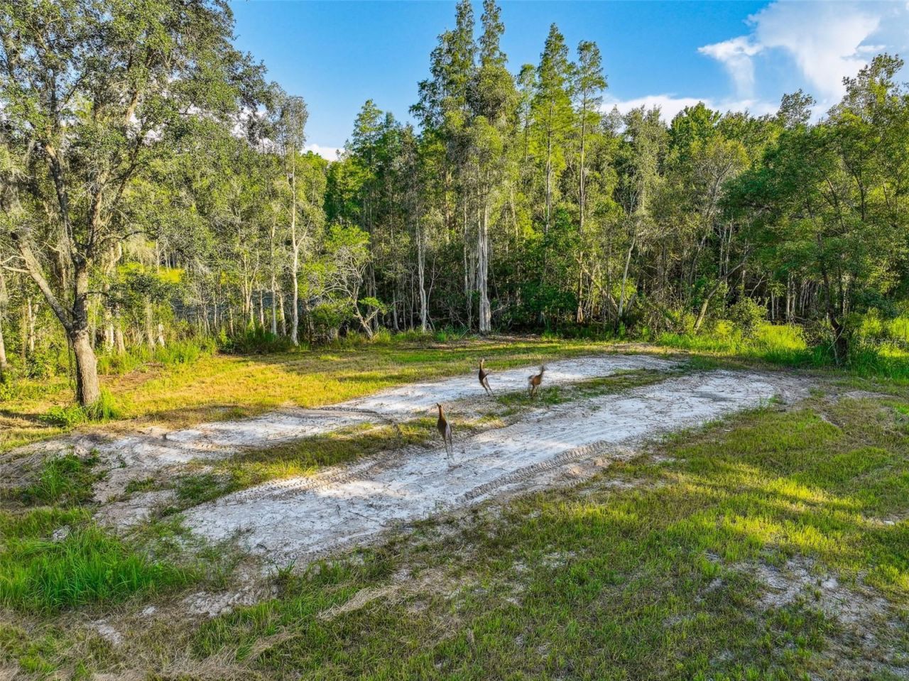 1758 Land O Lakes Boulevard , Lutz, FL 33549 Photo