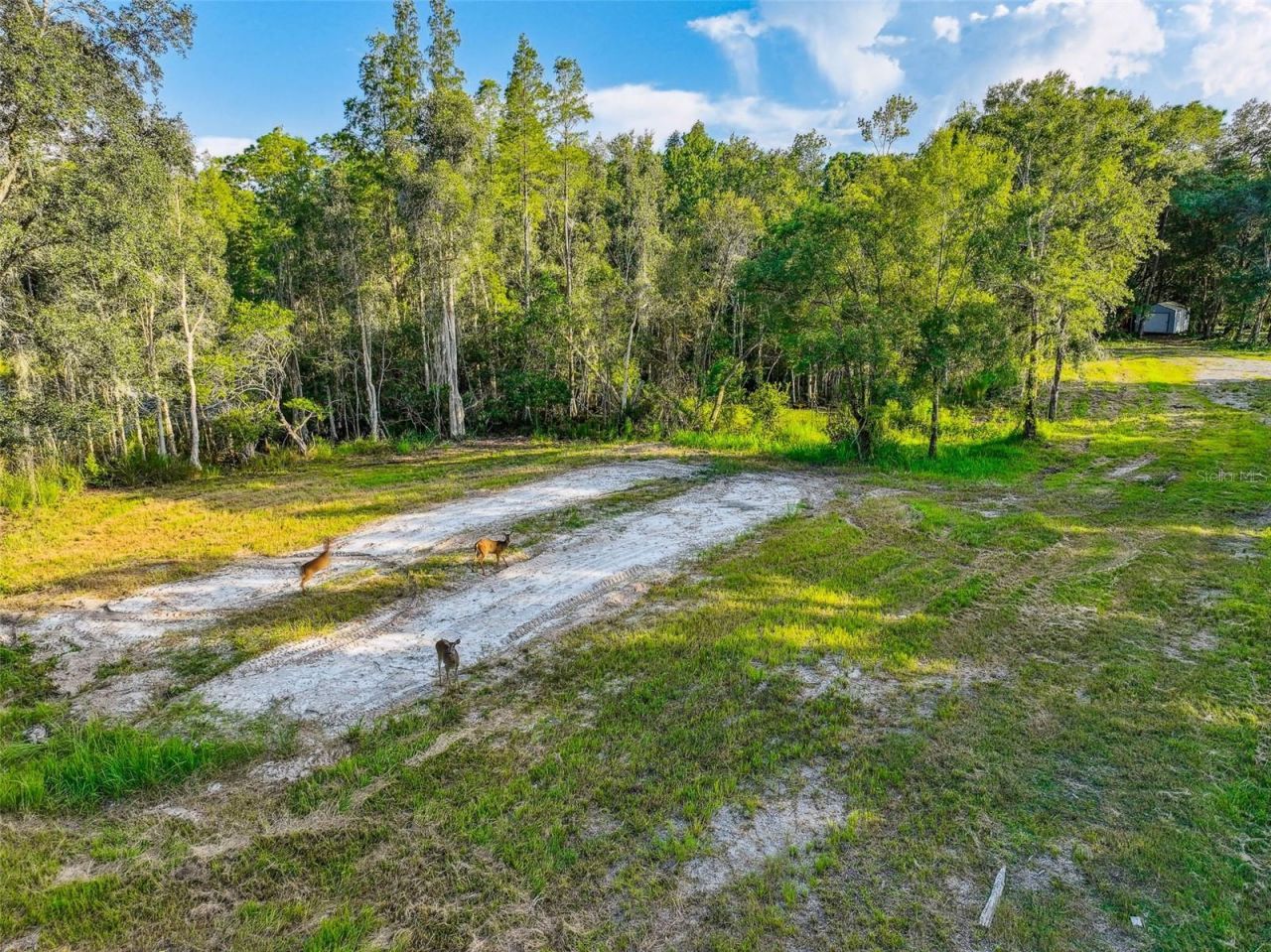 1758 Land O Lakes Boulevard , Lutz, FL 33549 Photo