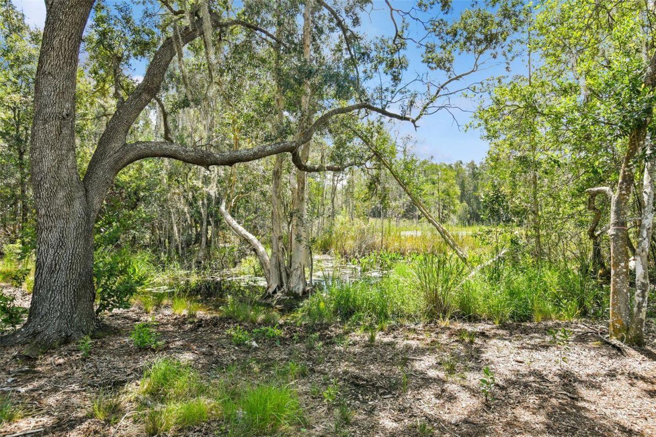 1758 Land O Lakes Boulevard , Lutz, FL 33549 Photo
