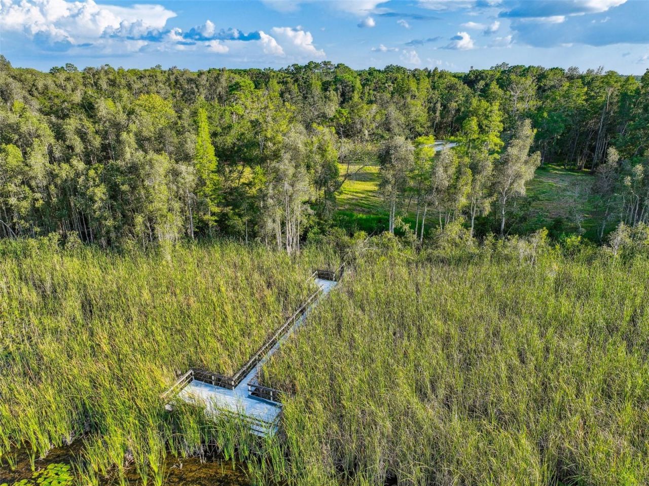 1758 Land O Lakes Boulevard , Lutz, FL 33549 Photo
