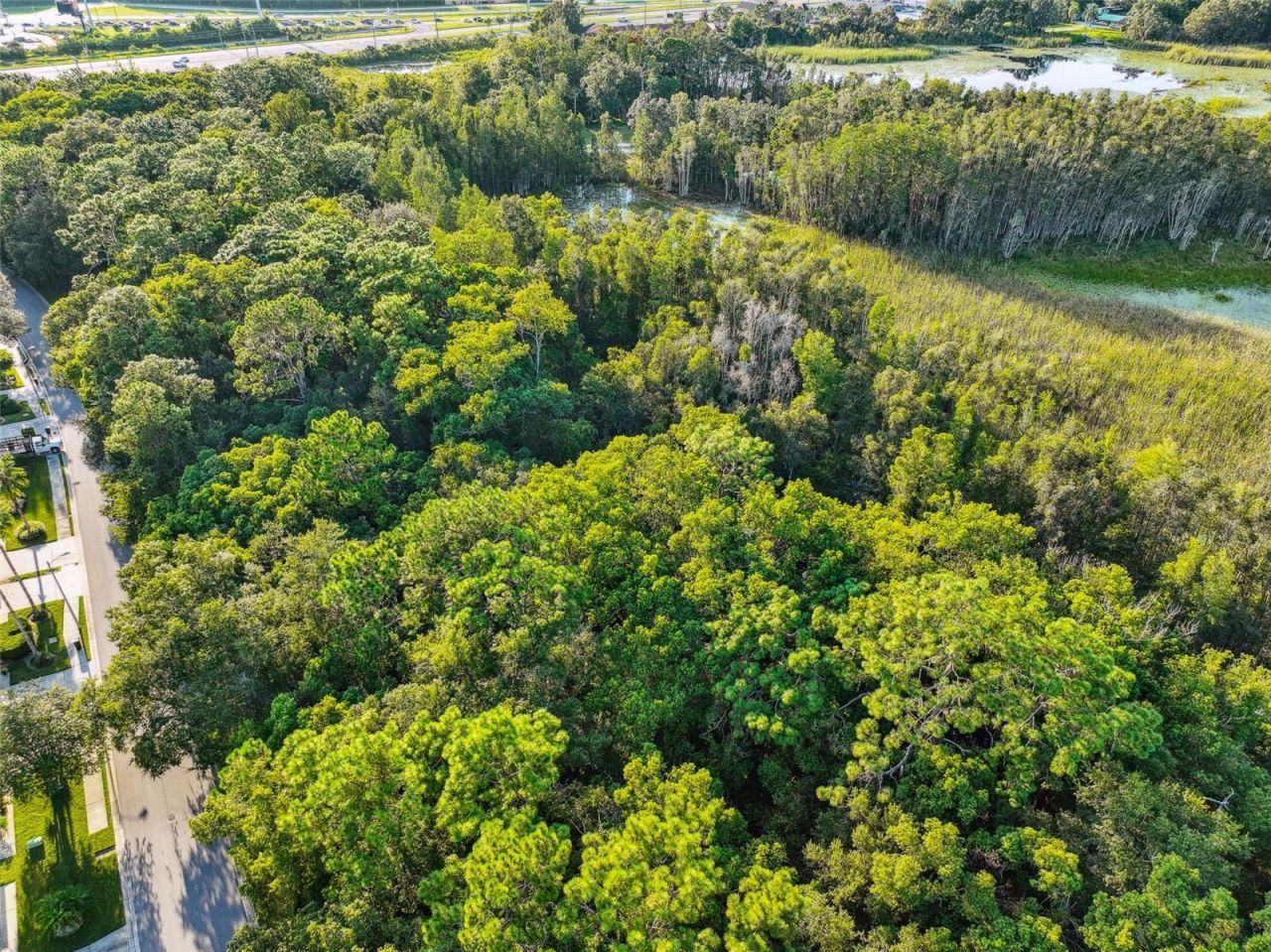 1758 Land O Lakes Boulevard , Lutz, FL 33549 Photo