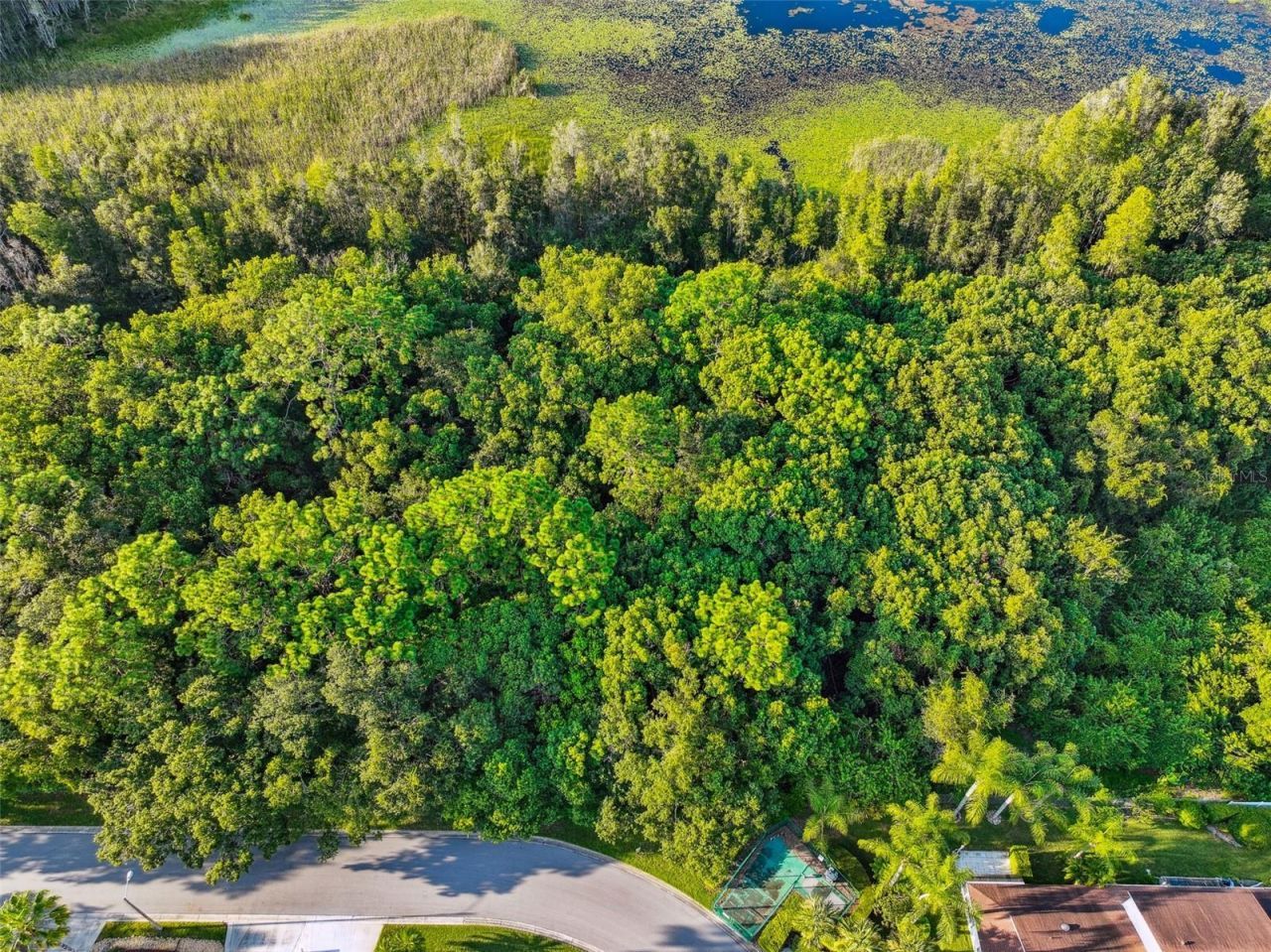 1758 Land O Lakes Boulevard , Lutz, FL 33549 Photo