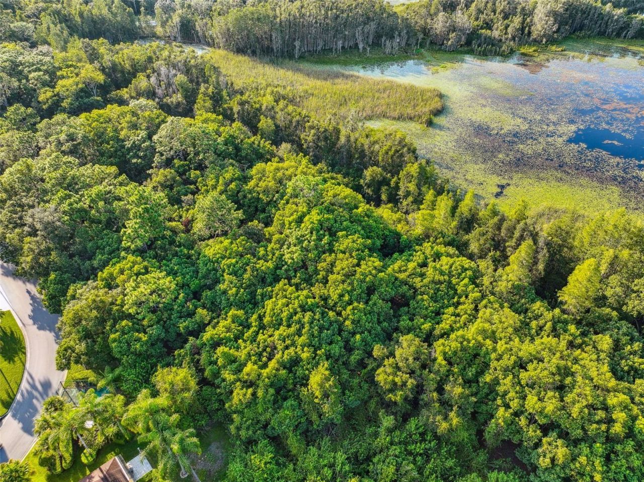 1758 Land O Lakes Boulevard , Lutz, FL 33549 Photo