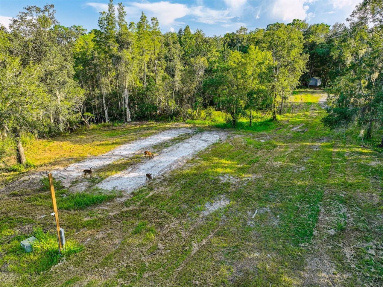 1758 Land O Lakes Boulevard , Lutz, FL 33549 Photo