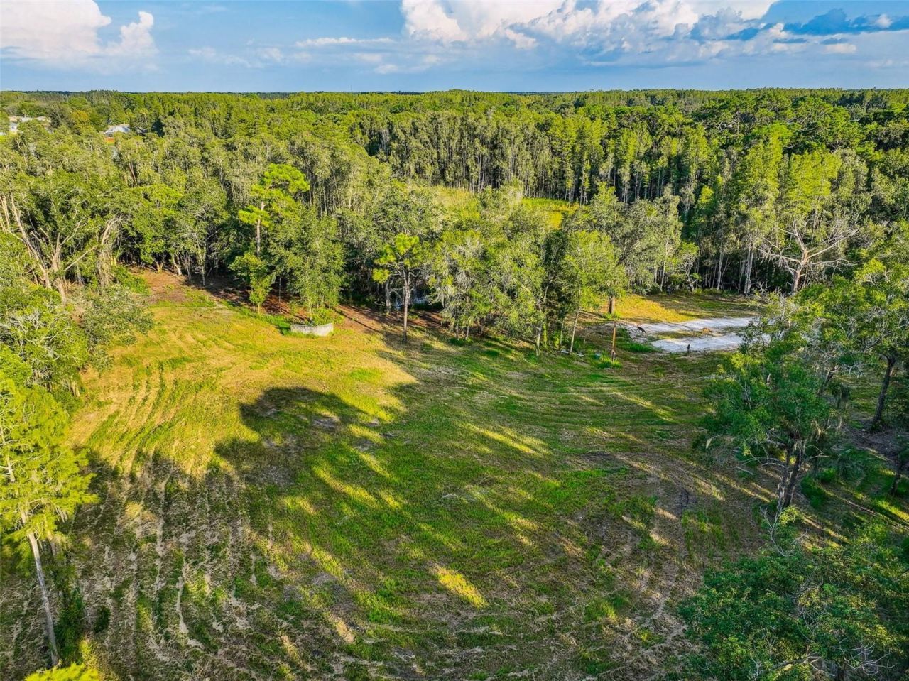 1758 Land O Lakes Boulevard , Lutz, FL 33549 Photo