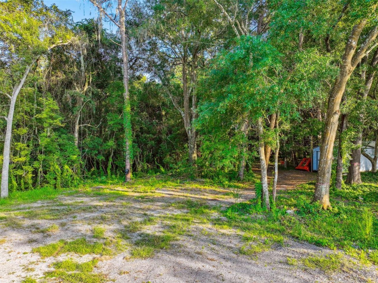 1758 Land O Lakes Boulevard , Lutz, FL 33549 Photo