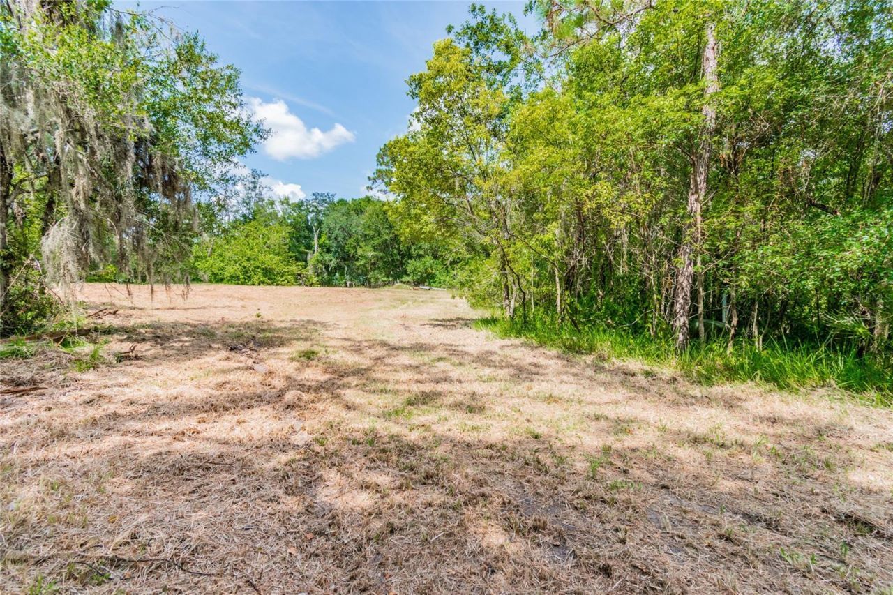 1758 Land O Lakes Boulevard , Lutz, FL 33549 Photo