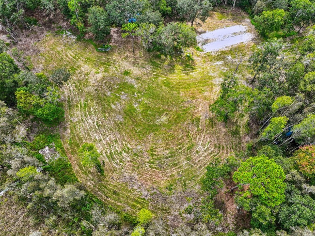 1758 Land O Lakes Boulevard , Lutz, FL 33549 Photo