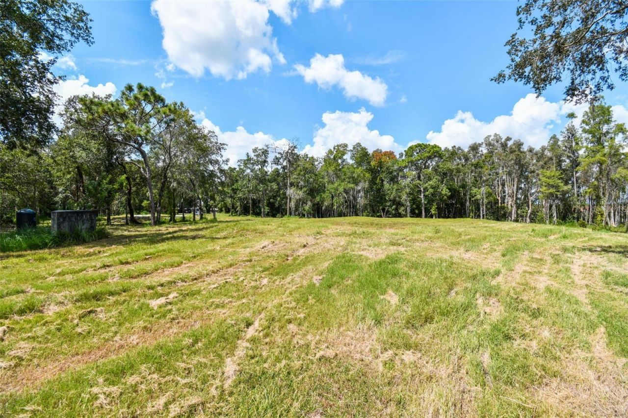 1758 Land O Lakes Boulevard , Lutz, FL 33549 Photo