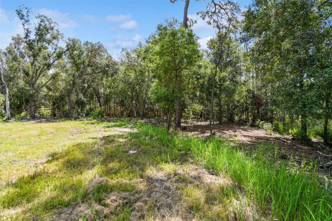 1758 Land O Lakes Boulevard , Lutz, FL 33549 Photo