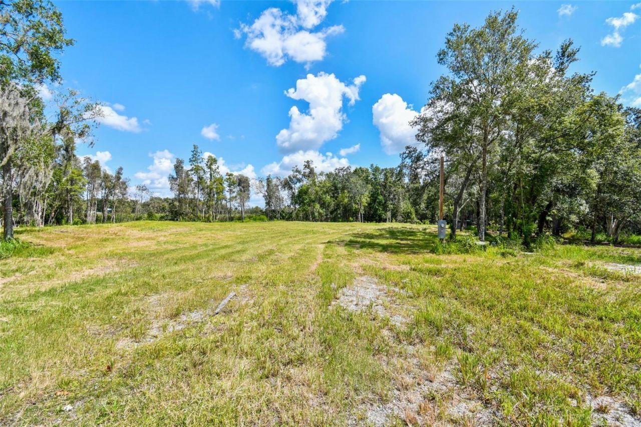 1758 Land O Lakes Boulevard , Lutz, FL 33549 Photo