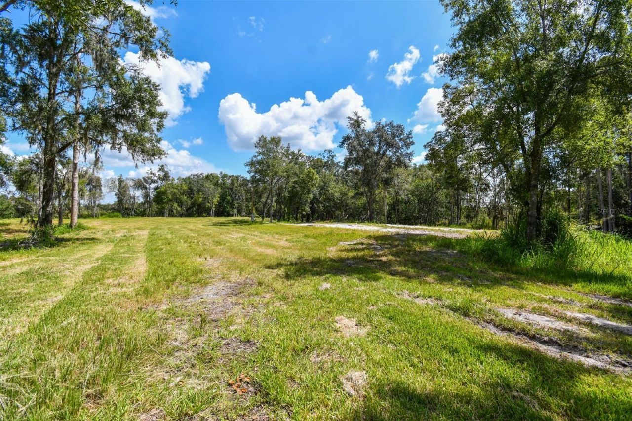 1758 Land O Lakes Boulevard , Lutz, FL 33549 Photo