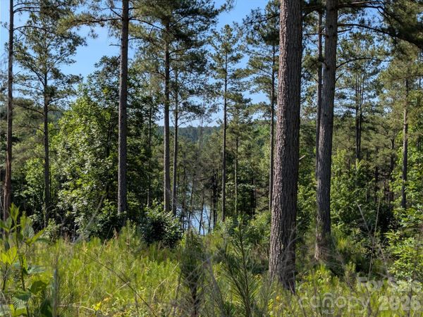 2134 Princeton Mountain Mountain, Connelly Springs, NC 28612