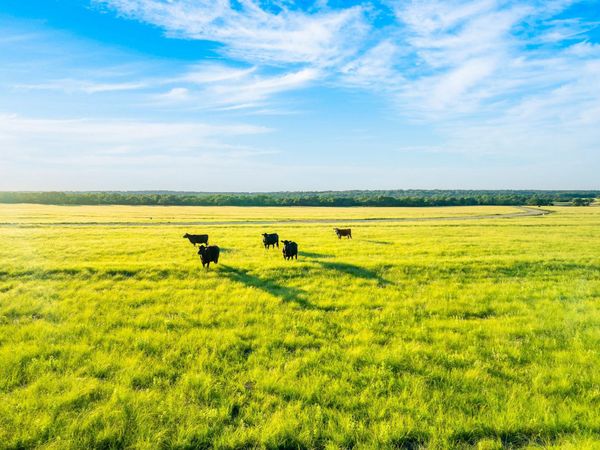 7 Feild Ranch RD, Burnet, TX 78611